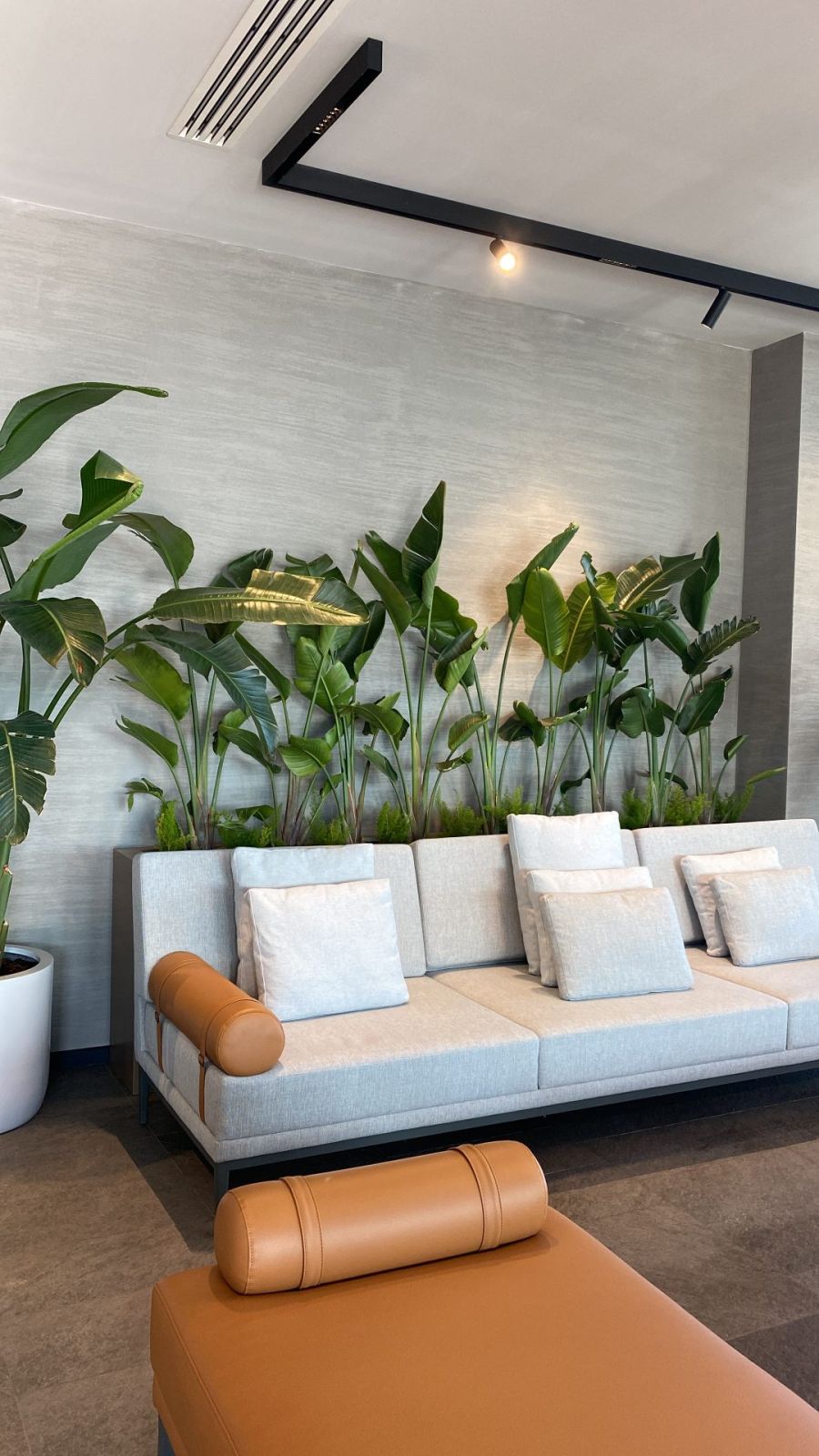 Bitkili lounge alanı